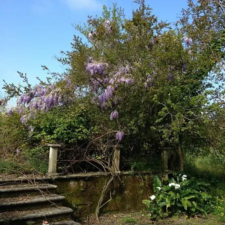 Inglessata Rose 아파트호텔