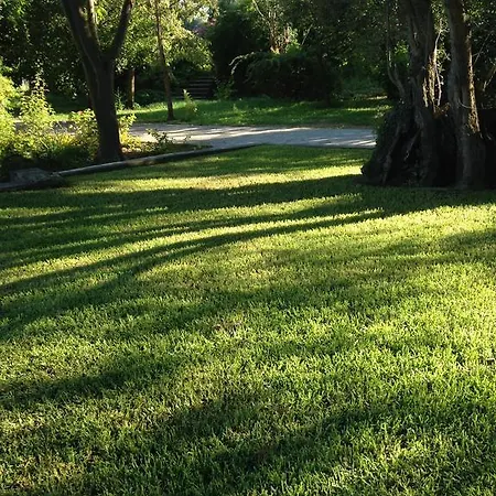 Inglessata Rose 스보로나타