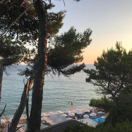 Inglessata Rose 스보로나타